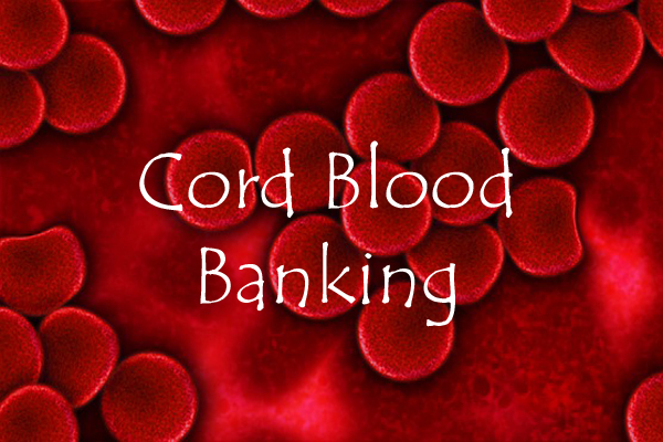 How Much Does Cord Blood Banking Cost