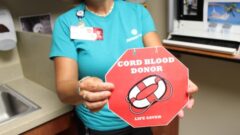 cord blood donation